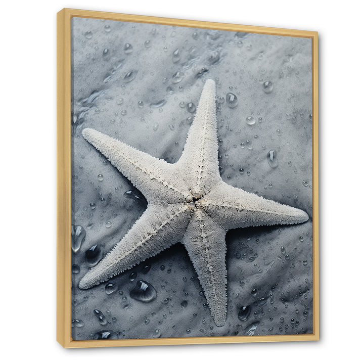 Grey minimalist Starfish Coastal gem - Starfish Wall Decor