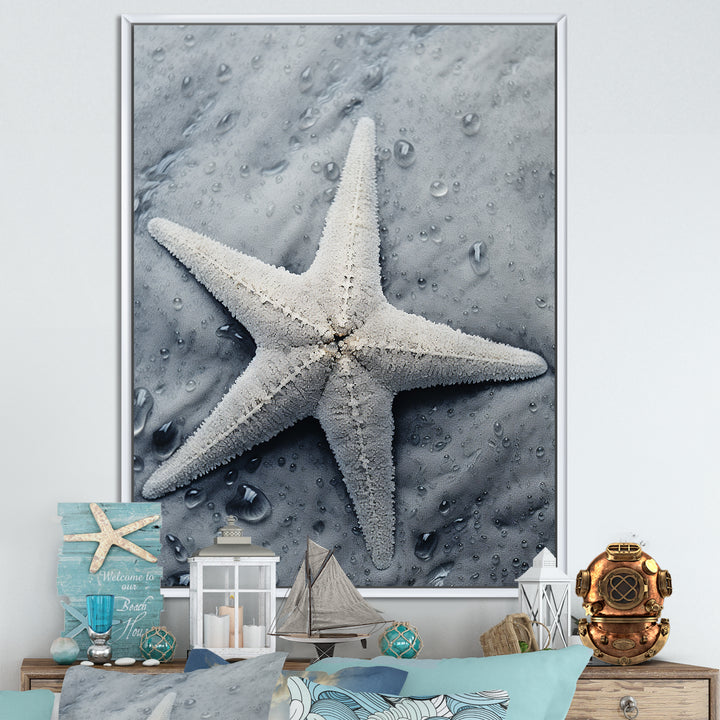 Grey minimalist Starfish Coastal gem - Starfish Wall Decor