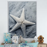 Grey minimalist Starfish Coastal gem - Starfish Wall Decor