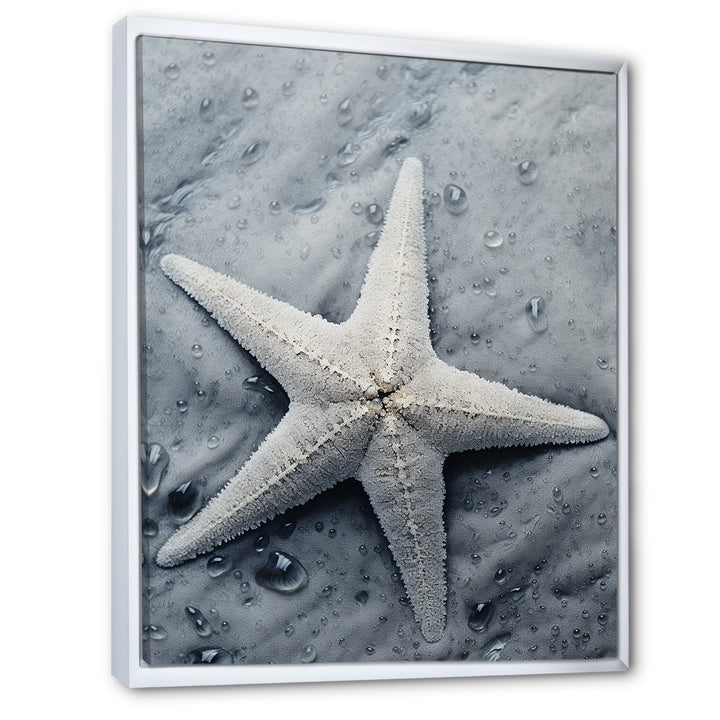 Grey minimalist Starfish Coastal gem - Starfish Wall Decor