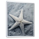 Grey minimalist Starfish Coastal gem - Starfish Wall Decor