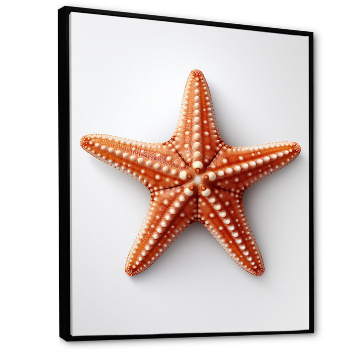 Minimalist starfish orange - Starfish Wall Decor