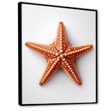 Minimalist starfish orange - Starfish Wall Decor