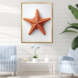 Minimalist starfish orange - Starfish Wall Decor