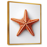 Minimalist starfish orange - Starfish Wall Decor
