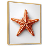 Minimalist starfish orange - Starfish Wall Decor