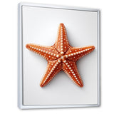 Minimalist starfish orange - Starfish Wall Decor