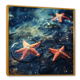 Yellow Oceanic starfish romance photo - Starfish Wall Art Prints