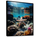 Blue Rainbow Starfish photo - Blue Starfish Wall Art