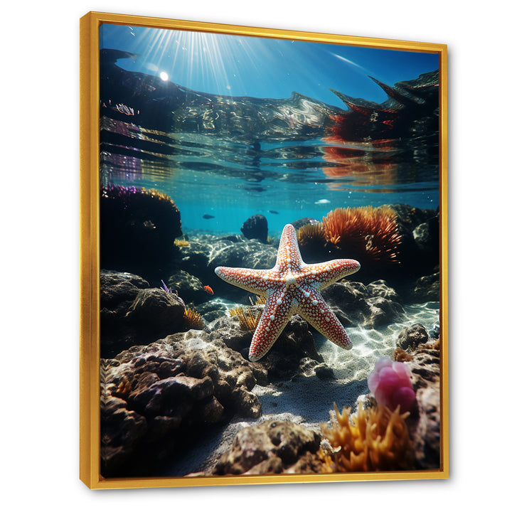 Blue Rainbow Starfish photo - Blue Starfish Wall Art