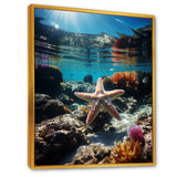 Blue Rainbow Starfish photo - Blue Starfish Wall Art