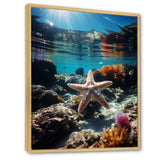 Blue Rainbow Starfish photo - Blue Starfish Wall Art