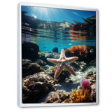 Blue Rainbow Starfish photo - Blue Starfish Wall Art