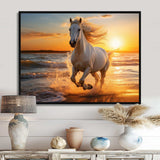 Wild horse running on beach 1 - Coastal Canvas Wall Art