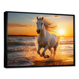 Wild horse running on beach 1 - Coastal Canvas Wall Art