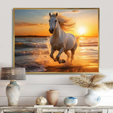 Wild horse running on beach 1 - Coastal Canvas Wall Art