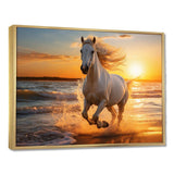 Wild horse running on beach 1 - Coastal Canvas Wall Art