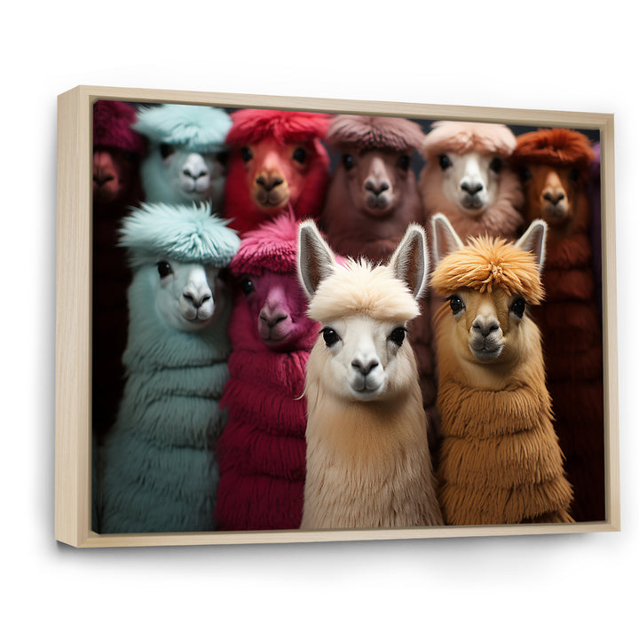 Colorful Alpacas Festive Fiesta - Alpaca Living Room Wall Art