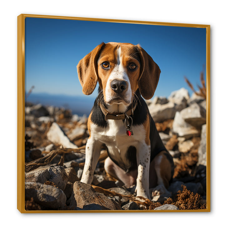 Rescue beagle dog in rocky - Dog Beagle Living Room Wall Art