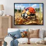 Curious ladybug meadows - Ladybug Canvas Wall Art
