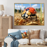 Curious ladybug meadows - Ladybug Canvas Wall Art