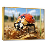 Curious ladybug meadows - Ladybug Canvas Wall Art