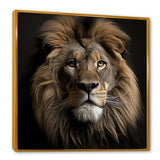 Dark Majestic Lion portrait - Lion Large Canvas Wall Art