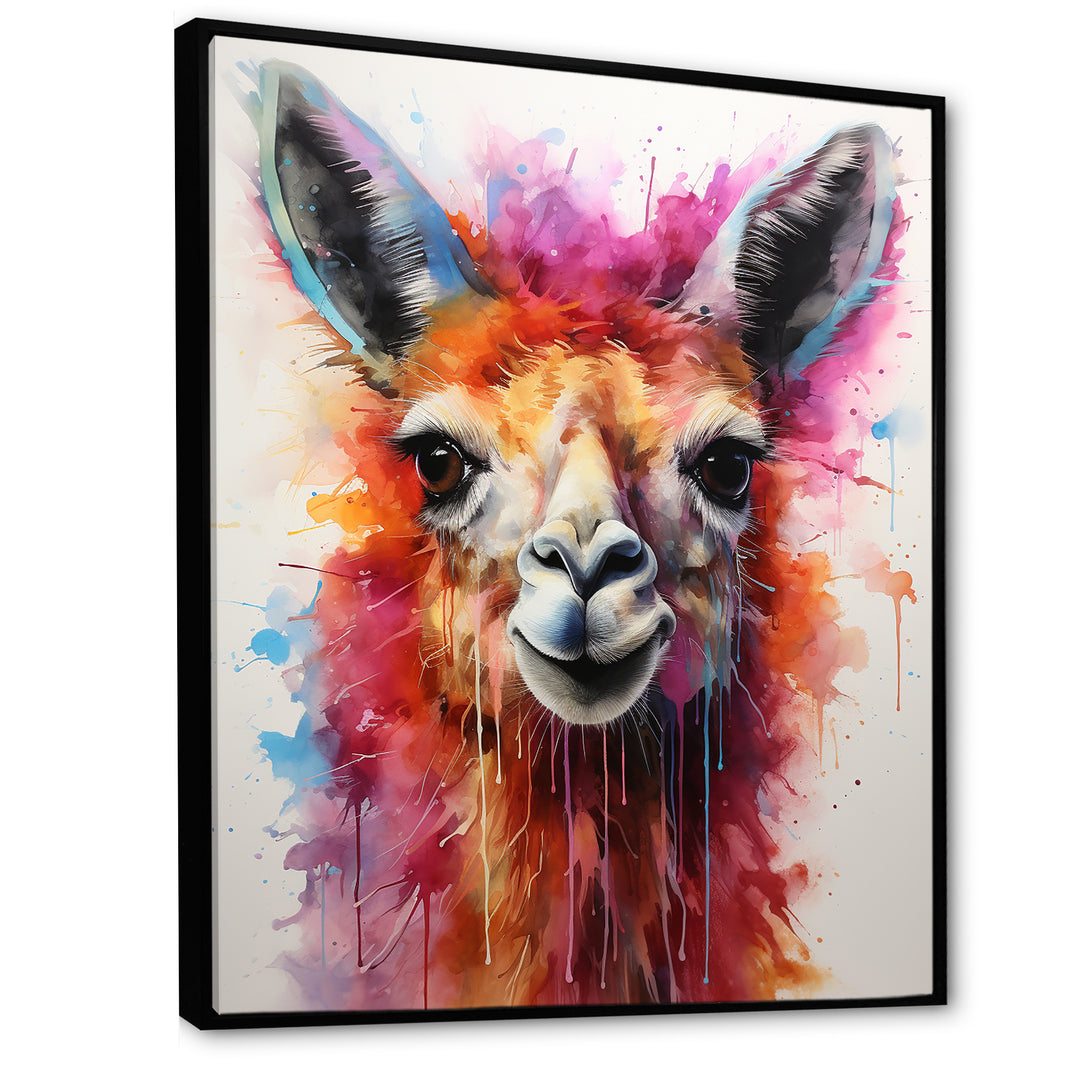 Portrait of a quirky Llama - Llama Canvas Wall Art
