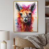 Portrait of a quirky Llama - Llama Canvas Wall Art