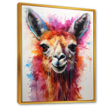Portrait of a quirky Llama - Llama Canvas Wall Art