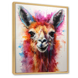 Portrait of a quirky Llama - Llama Canvas Wall Art