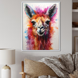 Portrait of a quirky Llama - Llama Canvas Wall Art