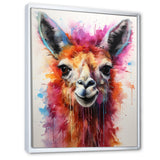 Portrait of a quirky Llama - Llama Canvas Wall Art
