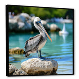 Coastal sentinelPelican photo - Animals Canvas Wall Art