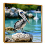 Coastal sentinelPelican photo - Animals Canvas Wall Art