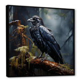 Black Raven forest Guardian I - Animals Canvas Wall Art