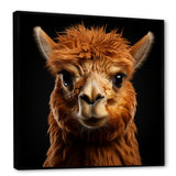 Serene Alpaca in Natural Elegance - Alpaca Canvas Wall Art
