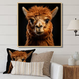 Serene Alpaca in Natural Elegance - Alpaca Canvas Wall Art