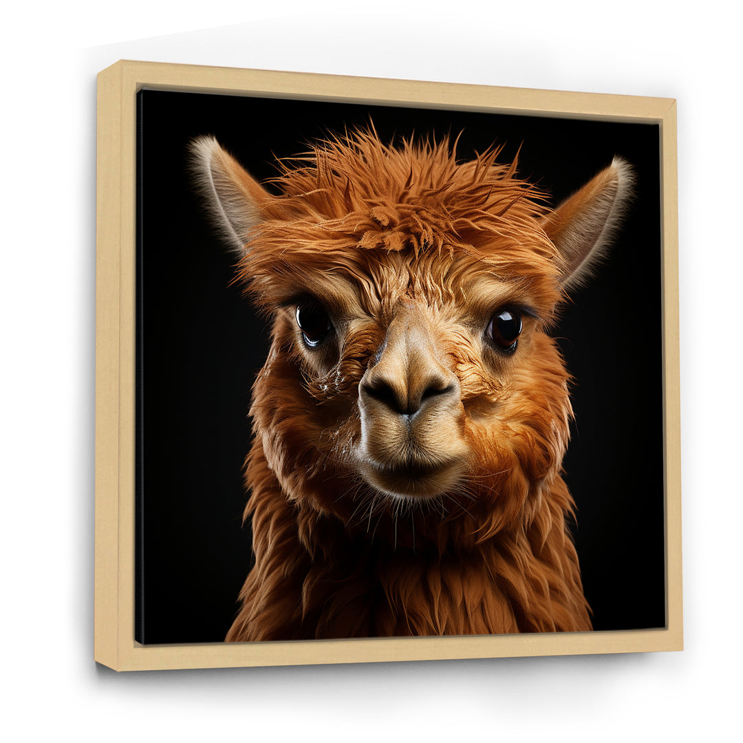 Serene Alpaca in Natural Elegance - Alpaca Canvas Wall Art