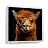 Serene Alpaca in Natural Elegance - Alpaca Canvas Wall Art