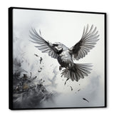 Graphite Realism The Wild Bird - Bird Wall Decor