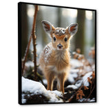 Cute Baby Deer portrait in winter - Animals Canvas Wall Art