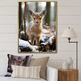 Cute Baby Deer portrait in winter - Animals Canvas Wall Art