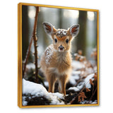 Cute Baby Deer portrait in winter - Animals Canvas Wall Art