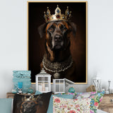 Crowned Royal mountain Dog - Dog Framed Canvas Art
