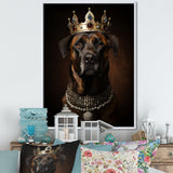 Crowned Royal mountain Dog - Dog Framed Canvas Art