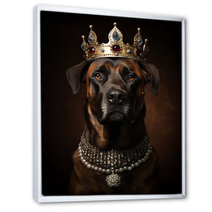 Crowned Royal mountain Dog - Dog Framed Canvas Art