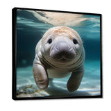 Curious Manatee gaze III - Animals Canvas Wall Art