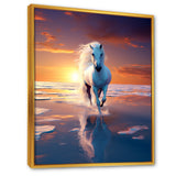 Coastal Horse Majesty Noble Horse Portrait - Horse Wall Art Prints
