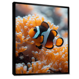 Orange white coral clown fish Marvel - Coral Bedroom Wall Art